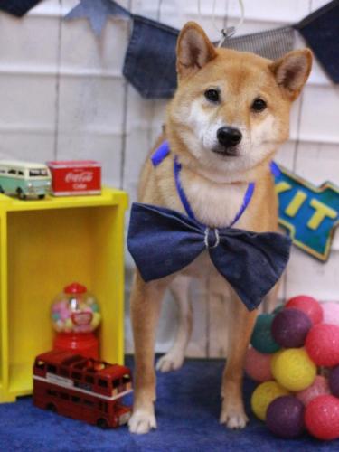 20230416シュウくん